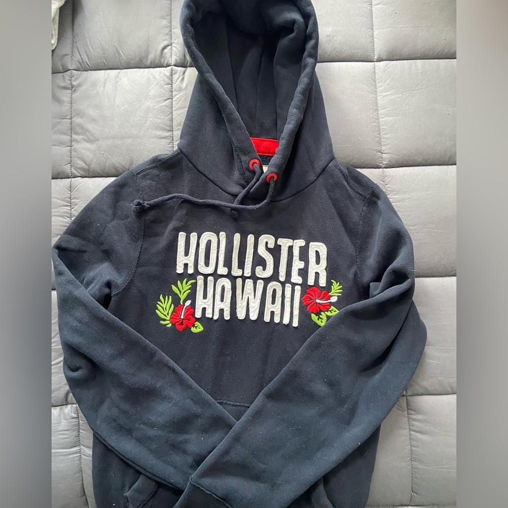 Men’s Hollister Hoodie